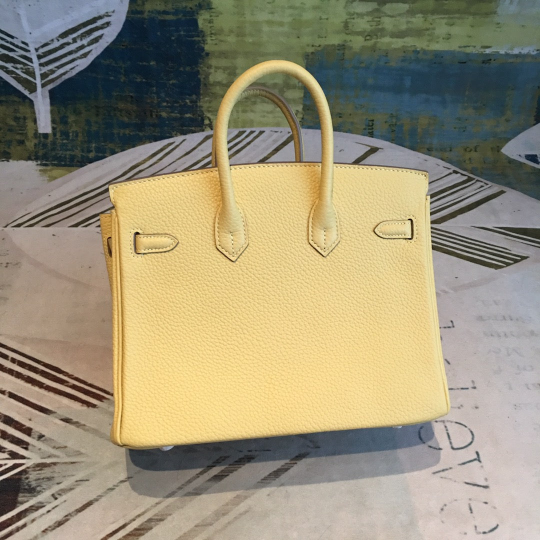 Top Handle Bag